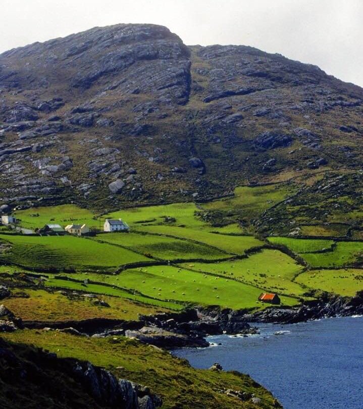 BEARA